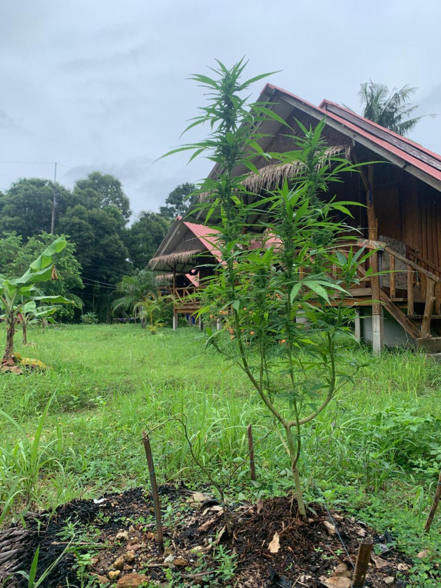 Seree Bungalows & Chill Bar Koh Chang Exterior foto